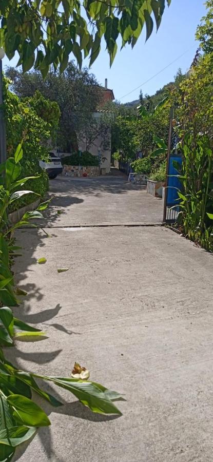 Green Oasis Holiday Home Vlore Exterior photo